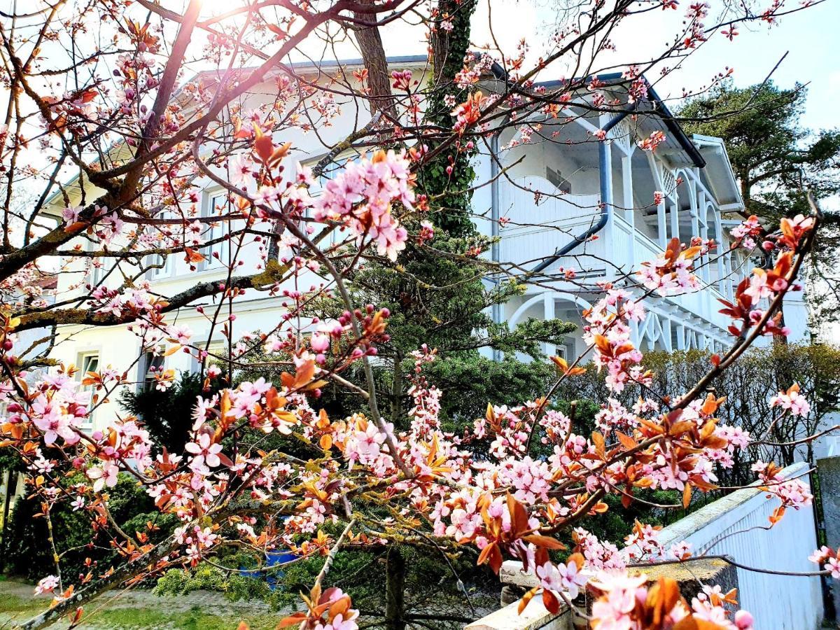 Villa Asta ビンツ エクステリア 写真