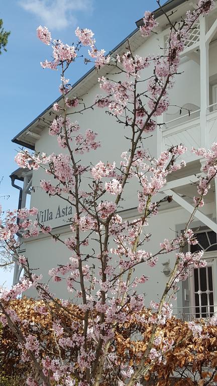 Villa Asta ビンツ エクステリア 写真